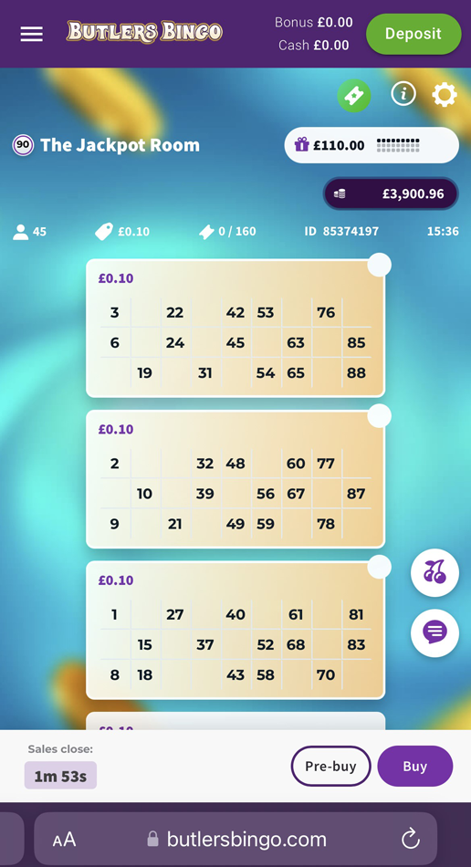 Bingo ticket purchase screen