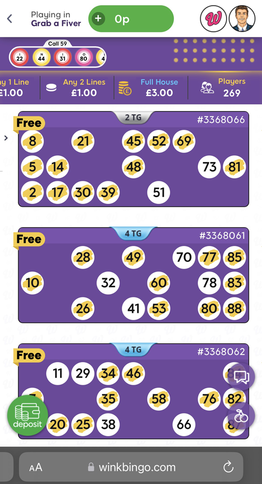 A free bingo game in progress at Wink