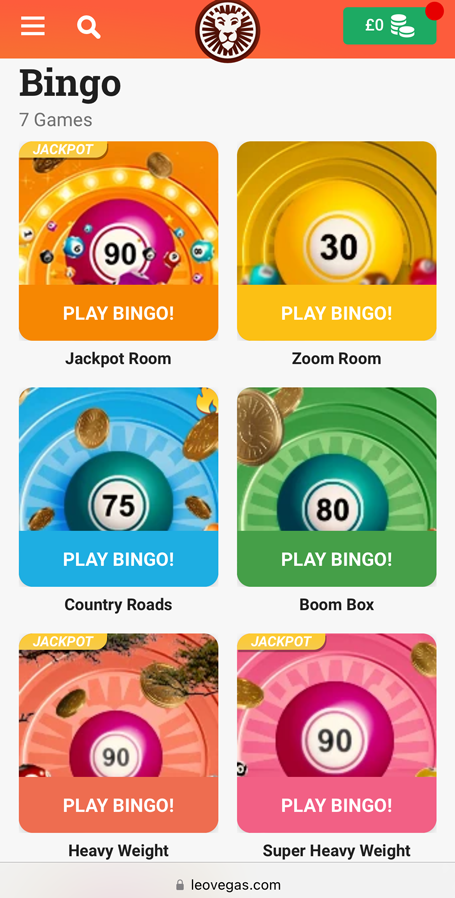 a screenshot of the bingo games at Leo