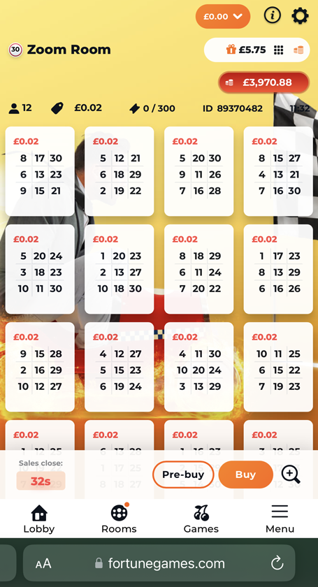 bingo tickets image